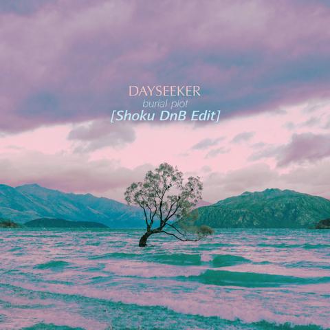 Dayseeker - Burial Plot (Shoku DnB Edit)封面