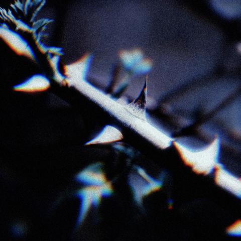 dread封面