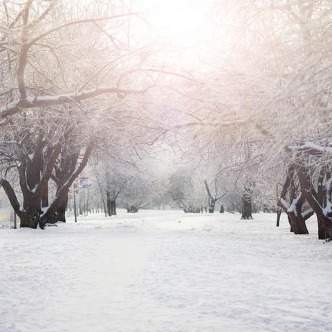 Frosty Memories