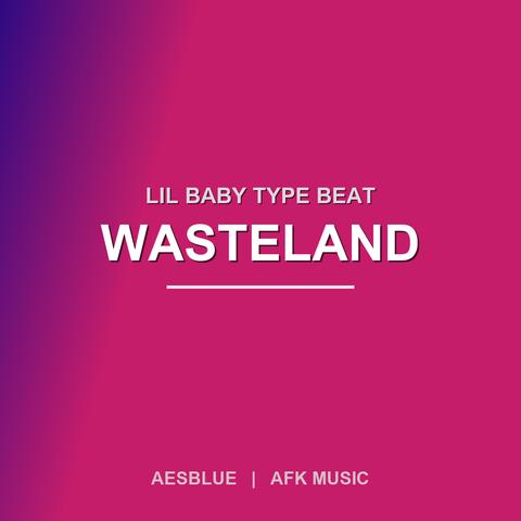 FREE Lil Baby Type Beat - Wasteland Melodic Trap 2026封面